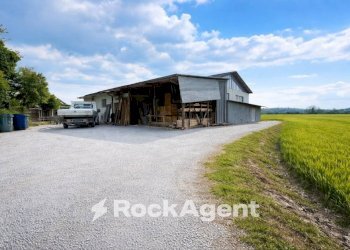 Terreno - Commercial Activity via Metella Nuova, 97, Sant'Omero - photo 8