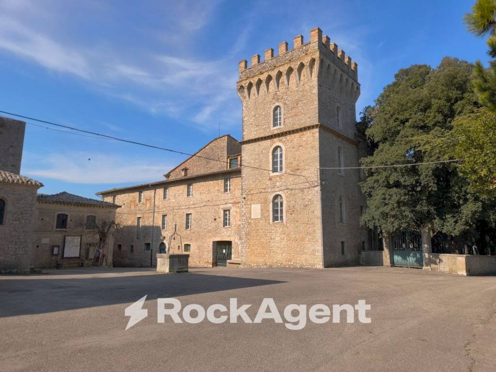 Zona - Stable - Palace Località Morruzze, 14, Baschi - photo 2