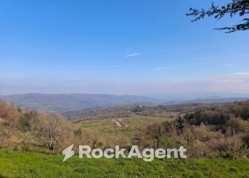 Terreno - Stable - Palace Località Morruzze, 14, Baschi - photo 4