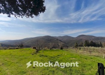 Terreno - Stable - Palace Località Morruzze, 14, Baschi - photo 10