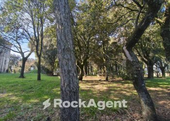 Terreno - Stable - Palace Località Morruzze, 14, Baschi - photo 13