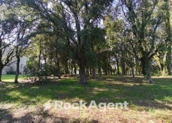 Terreno - Stable - Palace Località Morruzze, 14, Baschi - photo 15