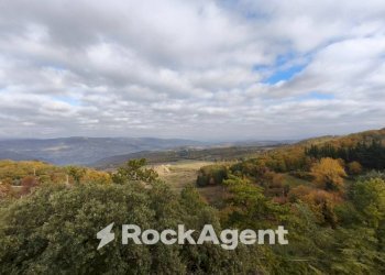 Vista - Stable - Palace Località Morruzze, 14, Baschi - photo 21