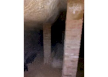 Semi-detached house Ponzano Monferrato - photo 66