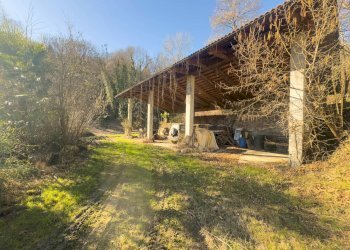 Farmhouse Castagneto Po - photo 6