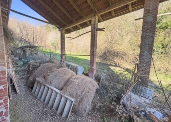 Farmhouse Castagneto Po - photo 25