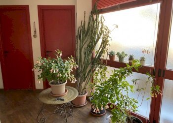 Four-room apartment Via Circonvallazione 32, Verrès - photo 7