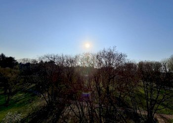 Quadrilocale frazione Milano 3, Basiglio - foto 14