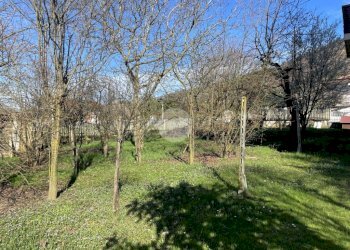 Villa Str. Biellese, Trana - foto 11