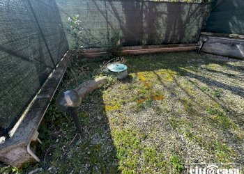 Farmhouse Lauriano - photo 48