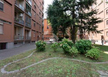 Trilocale Via Privata Paolo Rotta, Milano (zona Niguarda) - foto 10