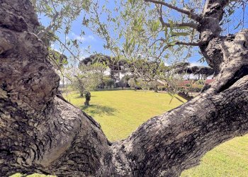 Foto 9 - Three-room apartment San Vincenzo - photo 9