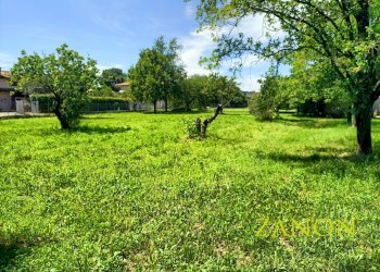 Foto 3 - Terreno edificabile Via de Comelli, Gradisca d'Isonzo - foto 3