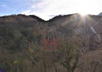 Foto 42 - Apartment Località Campodarte
 
22, Montefortino - photo 42