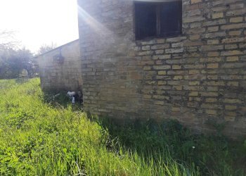 Foto 8 - Casa indipendente frazione Montotto, Monterubbiano - foto 8