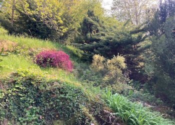 Giardino - Rustico San Zeno di Montagna - foto 15