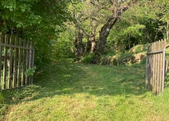 Giardino - Rustico San Zeno di Montagna - foto 16