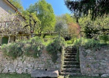 Giardino - Rustico San Zeno di Montagna - foto 18