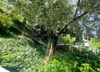 Giardino - Two-room apartment Piazza Virgilio
 
2, Gemonio - photo 9