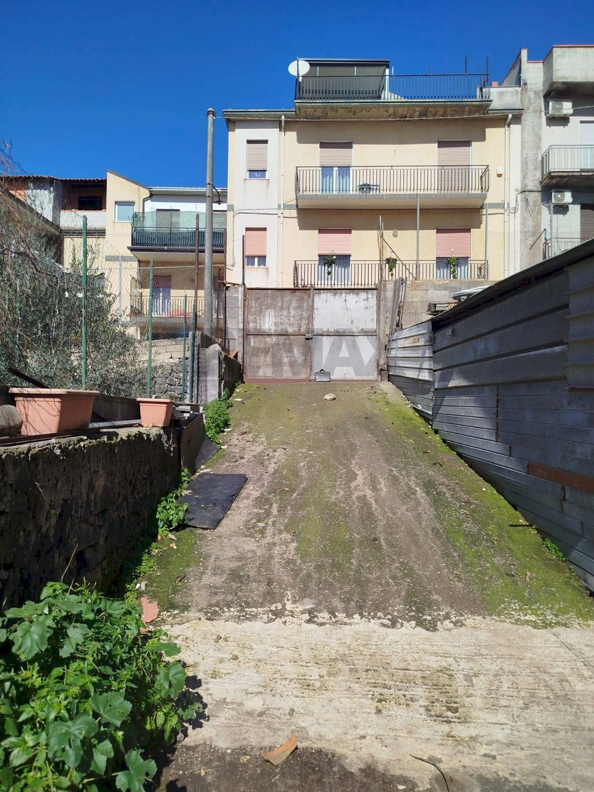 Giardino - Building land Settima Traversa, Belpasso - photo 3