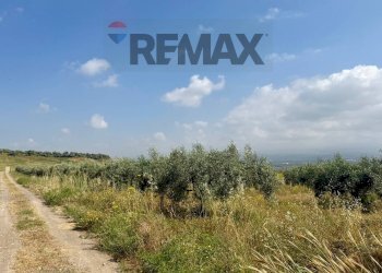 Non correlato - Terreno agricolo Contrada Patellina
snc, Paterno - foto 14