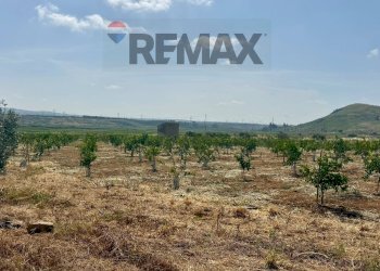 Vista delle montagne - Terreno agricolo Contrada Patellina
snc, Paterno - foto 20