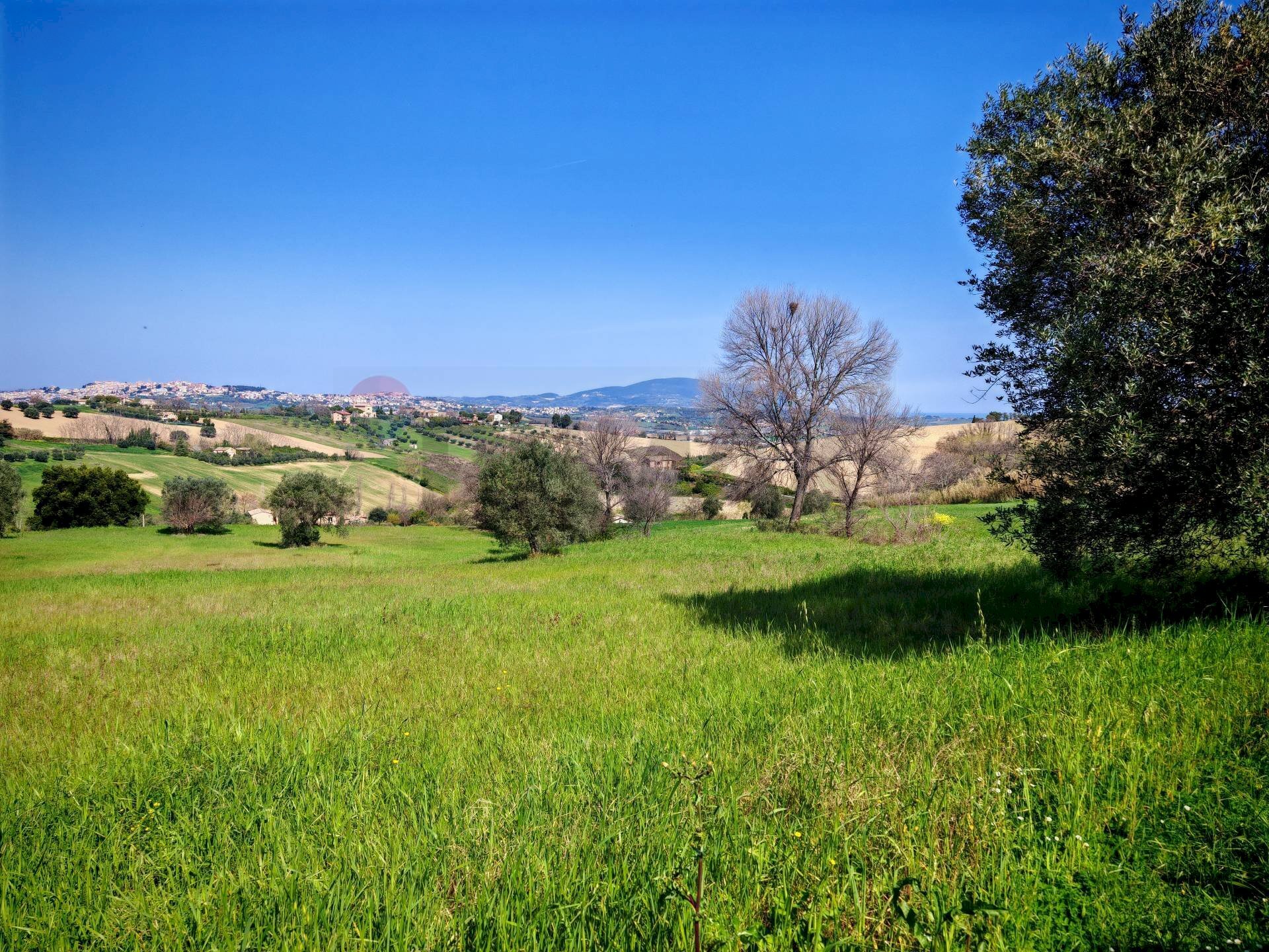 Vista delle montagne - Agricultural land VIA FRANCESCA FELICITA TACCHINARDI, Recanati - photo 1