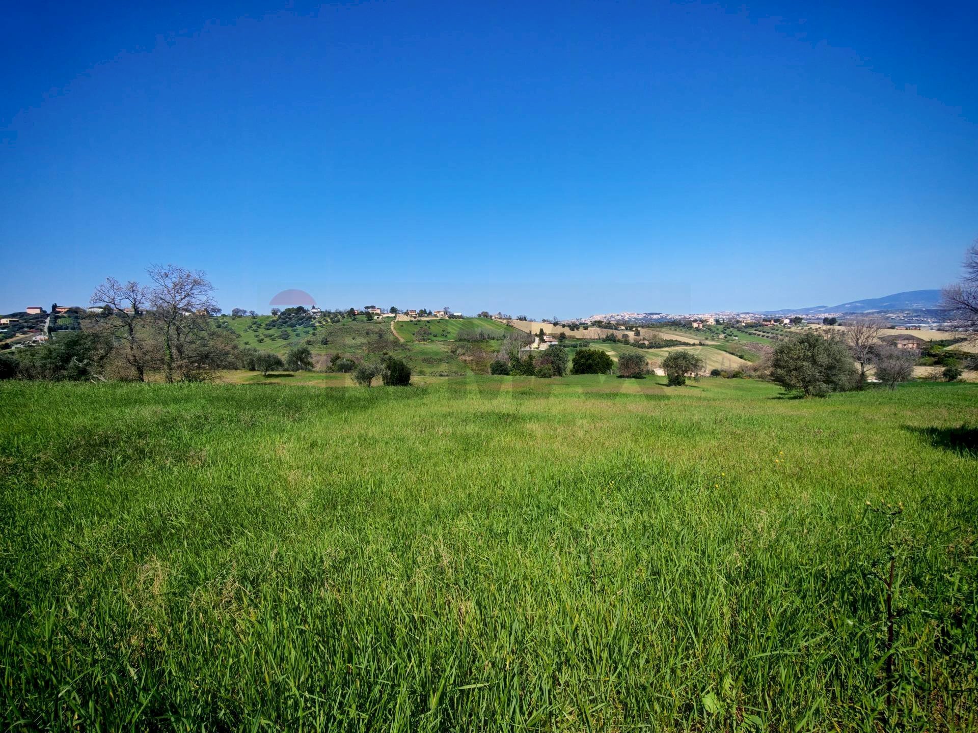 Giardino - Agricultural land VIA FRANCESCA FELICITA TACCHINARDI, Recanati - photo 2