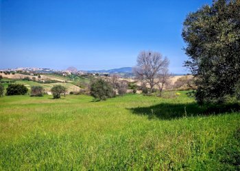 Vista delle montagne - Agricultural land VIA FRANCESCA FELICITA TACCHINARDI, Recanati - photo 1