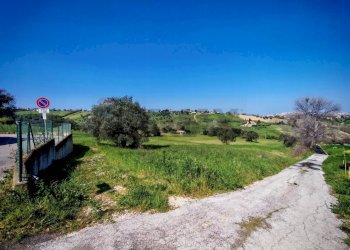 Giardino - Agricultural land VIA FRANCESCA FELICITA TACCHINARDI, Recanati - photo 3
