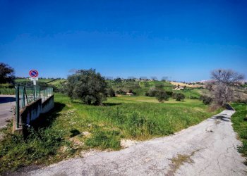 Giardino - Agricultural land VIA FRANCESCA FELICITA TACCHINARDI, Recanati - photo 4