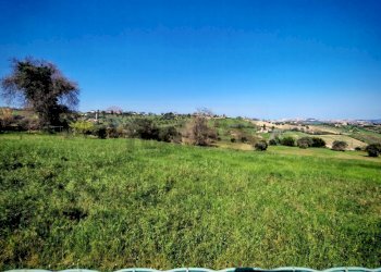 Piscina - Agricultural land VIA FRANCESCA FELICITA TACCHINARDI, Recanati - photo 5