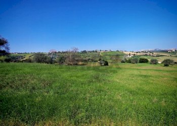 Giardino - Agricultural land VIA FRANCESCA FELICITA TACCHINARDI, Recanati - photo 8