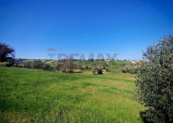 Giardino - Agricultural land VIA FRANCESCA FELICITA TACCHINARDI, Recanati - photo 9