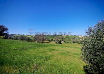 Giardino - Agricultural land VIA FRANCESCA FELICITA TACCHINARDI, Recanati - photo 10