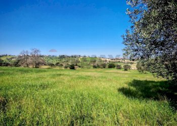 Giardino - Agricultural land VIA FRANCESCA FELICITA TACCHINARDI, Recanati - photo 11