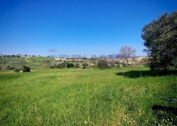 Giardino - Agricultural land VIA FRANCESCA FELICITA TACCHINARDI, Recanati - photo 12