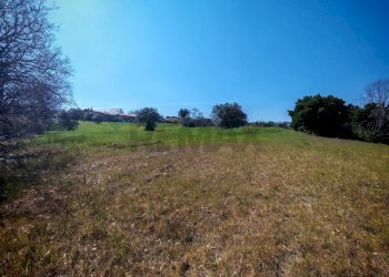 Giardino - Agricultural land VIA FRANCESCA FELICITA TACCHINARDI, Recanati - photo 13