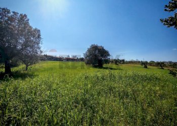 Giardino - Agricultural land VIA FRANCESCA FELICITA TACCHINARDI, Recanati - photo 16