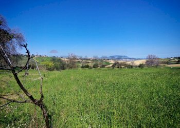 Giardino - Agricultural land VIA FRANCESCA FELICITA TACCHINARDI, Recanati - photo 17