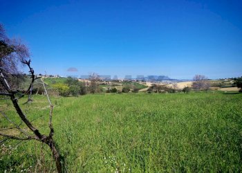Giardino - Agricultural land VIA FRANCESCA FELICITA TACCHINARDI, Recanati - photo 18