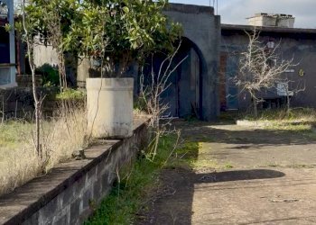 Giardino - Terreno edificabile contrada S.Elia, Randazzo - foto 4