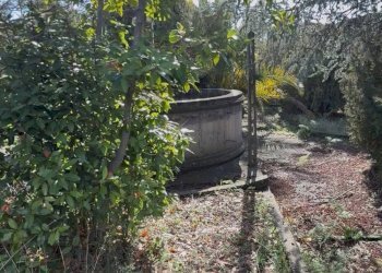 Giardino - Terreno edificabile contrada S.Elia, Randazzo - foto 8