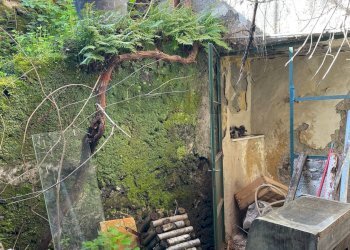 Giardino - Casa semi indipendente Via Lavina
 
219, Aci Sant'Antonio - foto 7