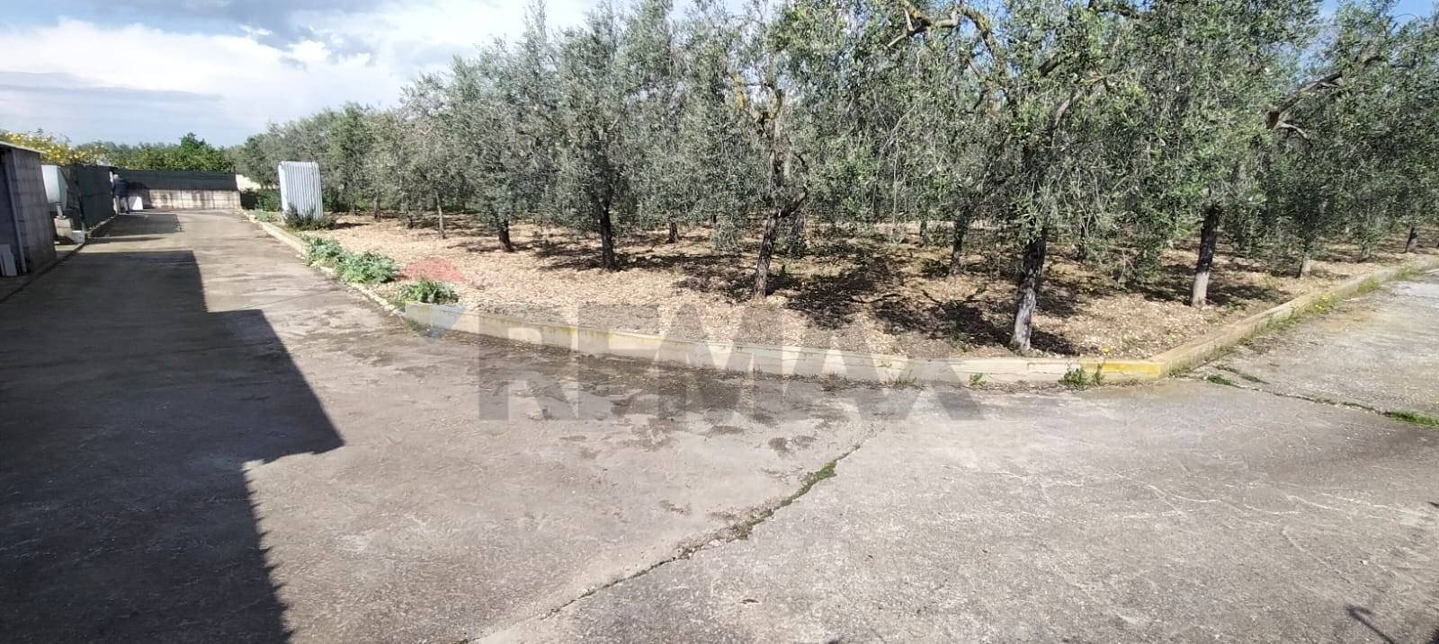 Giardino - Terreno edificabile Contrada Mezzanella, Manfredonia - foto 1