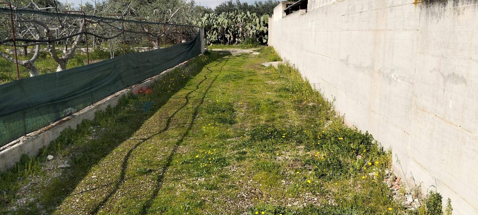 Giardino - Terreno edificabile Contrada Mezzanella, Manfredonia - foto 3