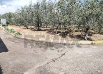 Giardino - Terreno edificabile Contrada Mezzanella, Manfredonia - foto 1