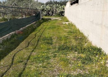 Giardino - Terreno edificabile Contrada Mezzanella, Manfredonia - foto 3