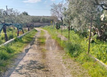 Giardino - Terreno edificabile Contrada Mezzanella, Manfredonia - foto 4