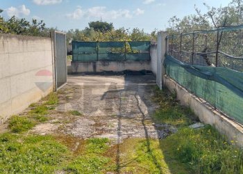 Giardino - Terreno edificabile Contrada Mezzanella, Manfredonia - foto 5